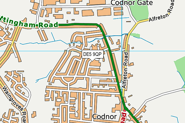 DE5 9QP map - OS VectorMap District (Ordnance Survey)