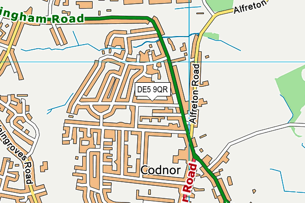 DE5 9QR map - OS VectorMap District (Ordnance Survey)