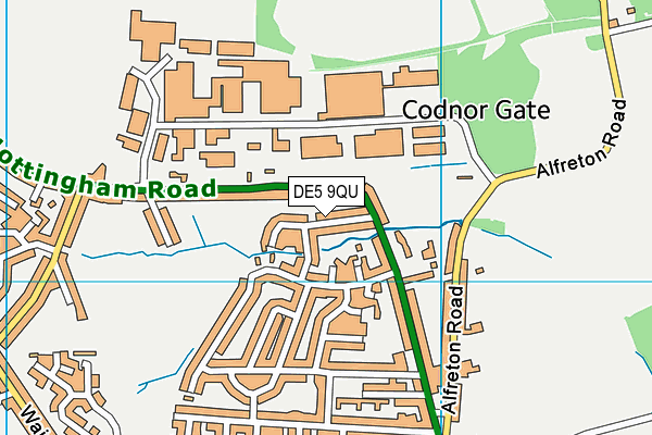 DE5 9QU map - OS VectorMap District (Ordnance Survey)