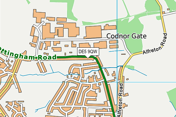 DE5 9QW map - OS VectorMap District (Ordnance Survey)