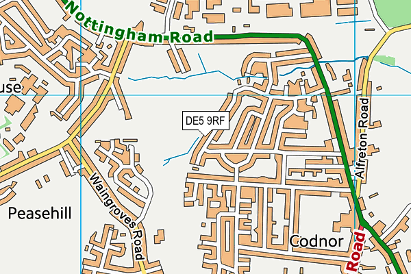 DE5 9RF map - OS VectorMap District (Ordnance Survey)