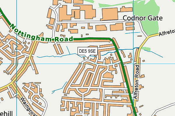 DE5 9SE map - OS VectorMap District (Ordnance Survey)