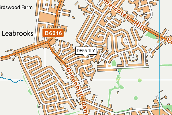 DE55 1LY map - OS VectorMap District (Ordnance Survey)