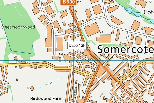 DE55 1SF map - OS VectorMap District (Ordnance Survey)