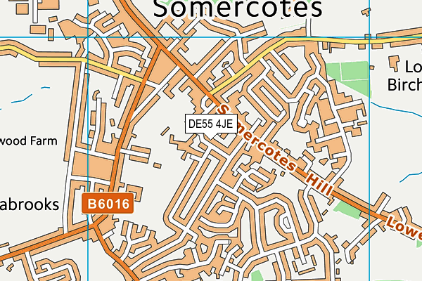 DE55 4JE map - OS VectorMap District (Ordnance Survey)