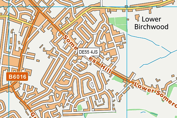 DE55 4JS map - OS VectorMap District (Ordnance Survey)