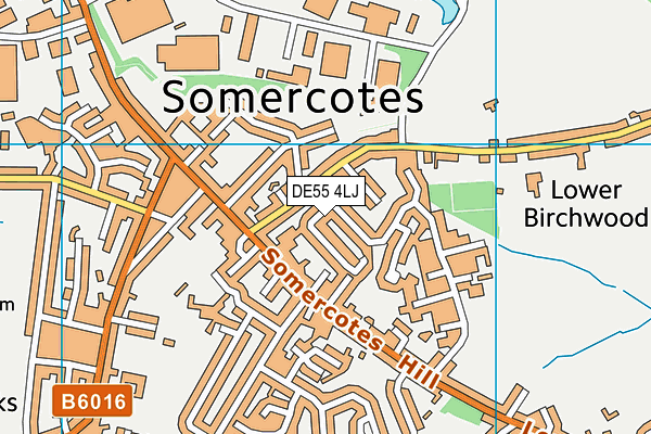 DE55 4LJ map - OS VectorMap District (Ordnance Survey)