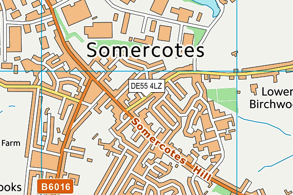 DE55 4LZ map - OS VectorMap District (Ordnance Survey)