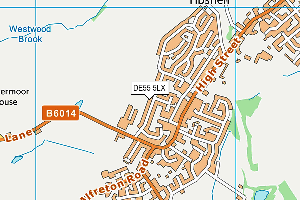 DE55 5LX map - OS VectorMap District (Ordnance Survey)
