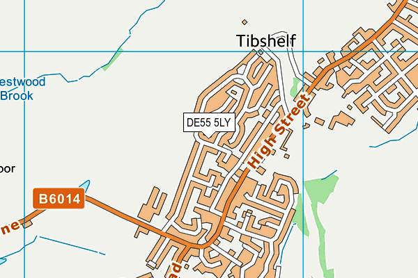 DE55 5LY map - OS VectorMap District (Ordnance Survey)
