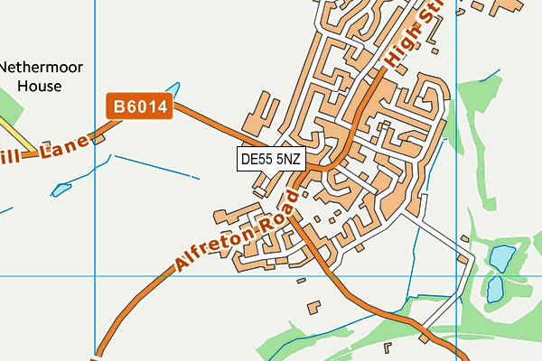 DE55 5NZ map - OS VectorMap District (Ordnance Survey)