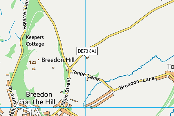 DE73 8AJ map - OS VectorMap District (Ordnance Survey)