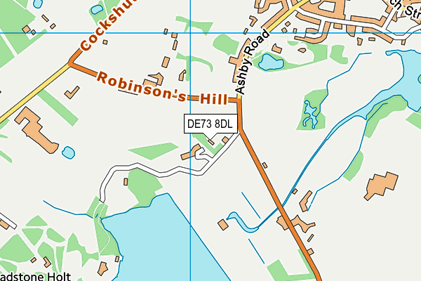 DE73 8DL map - OS VectorMap District (Ordnance Survey)