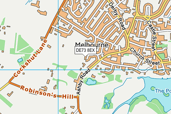 DE73 8EX map - OS VectorMap District (Ordnance Survey)