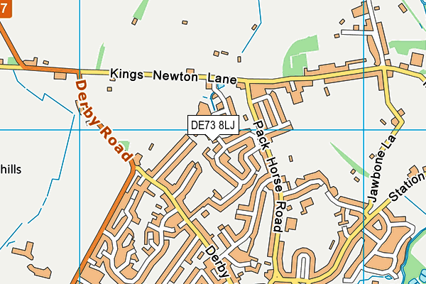 DE73 8LJ map - OS VectorMap District (Ordnance Survey)