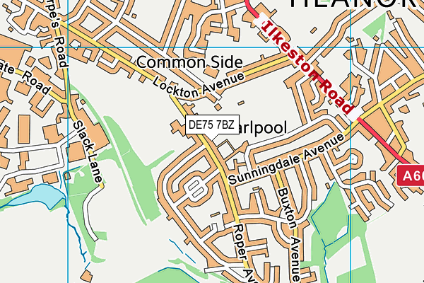 Coppice Primary School map (DE75 7BZ) - OS VectorMap District (Ordnance Survey)