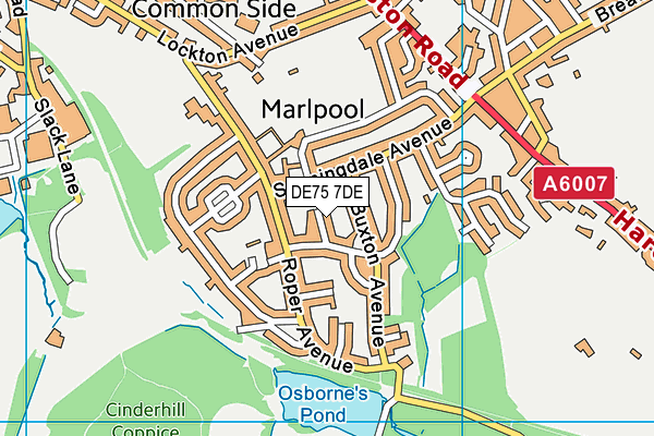 DE75 7DE map - OS VectorMap District (Ordnance Survey)