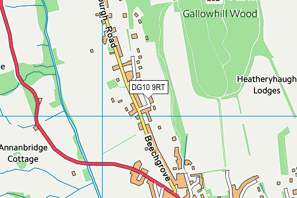 DG10 9RT map - OS VectorMap District (Ordnance Survey)