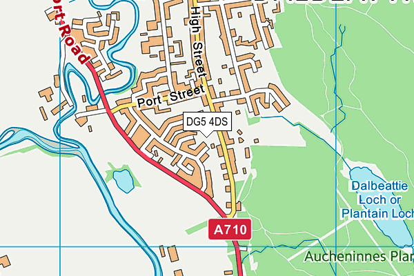 DG5 4DS map - OS VectorMap District (Ordnance Survey)