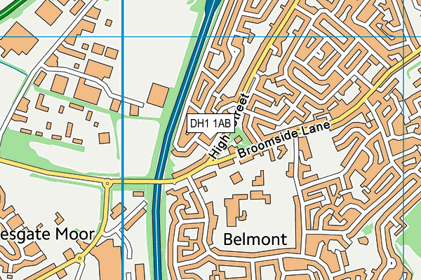 DH1 1AB map - OS VectorMap District (Ordnance Survey)