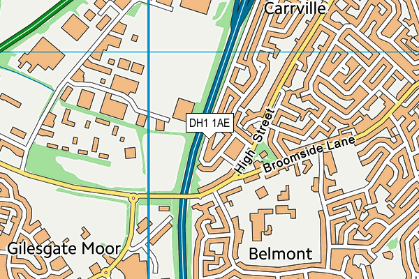 DH1 1AE map - OS VectorMap District (Ordnance Survey)