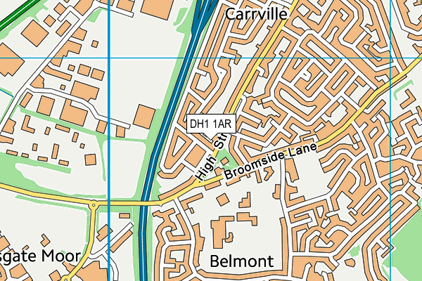 DH1 1AR map - OS VectorMap District (Ordnance Survey)