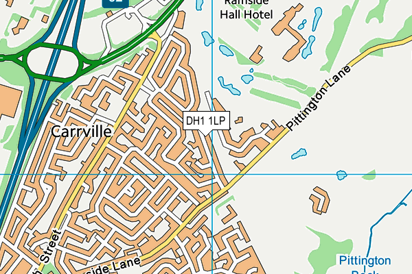 DH1 1LP map - OS VectorMap District (Ordnance Survey)
