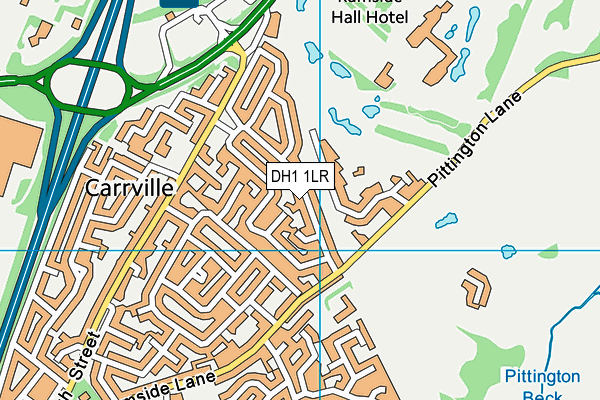 DH1 1LR map - OS VectorMap District (Ordnance Survey)