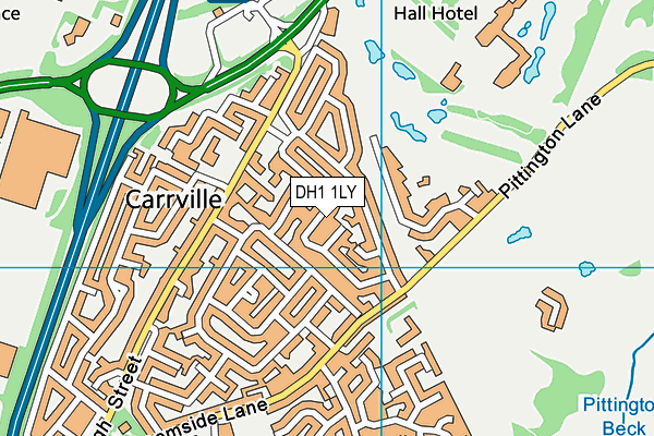 DH1 1LY map - OS VectorMap District (Ordnance Survey)