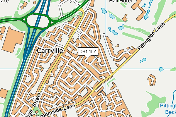 DH1 1LZ map - OS VectorMap District (Ordnance Survey)