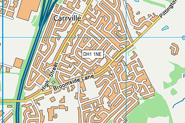 DH1 1NE map - OS VectorMap District (Ordnance Survey)