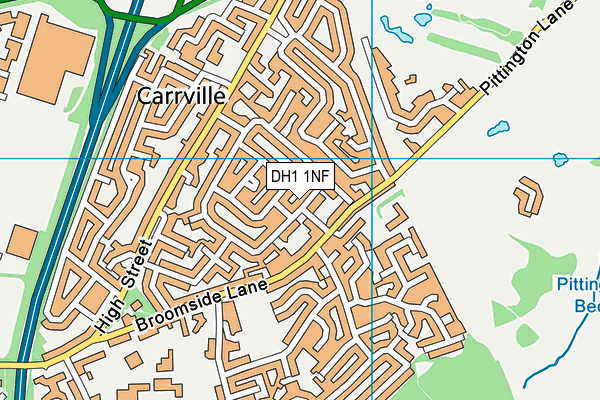 DH1 1NF map - OS VectorMap District (Ordnance Survey)