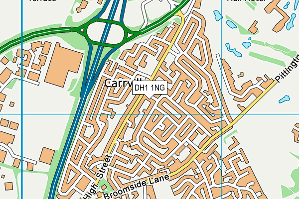 DH1 1NG map - OS VectorMap District (Ordnance Survey)