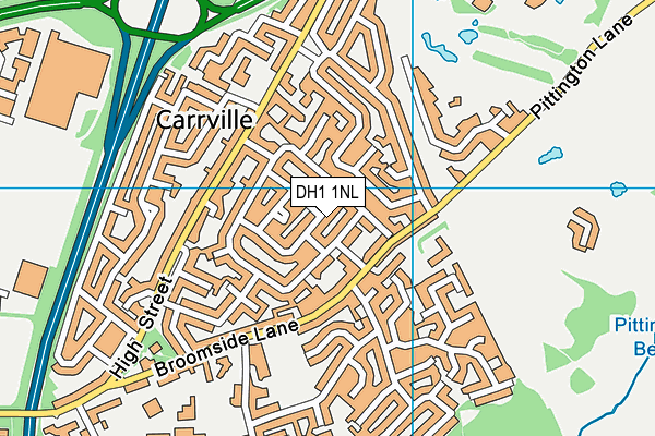 DH1 1NL map - OS VectorMap District (Ordnance Survey)
