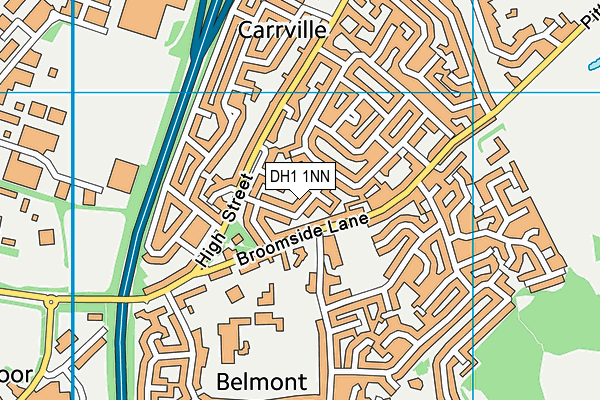 DH1 1NN map - OS VectorMap District (Ordnance Survey)