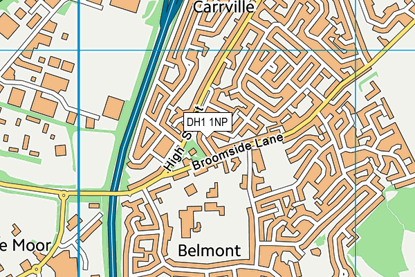 DH1 1NP map - OS VectorMap District (Ordnance Survey)