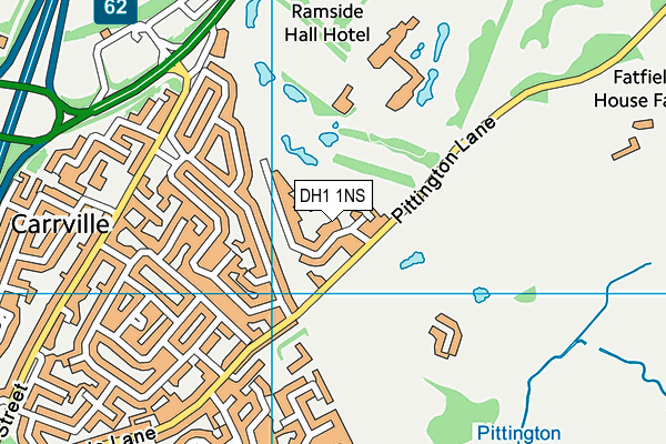 DH1 1NS map - OS VectorMap District (Ordnance Survey)