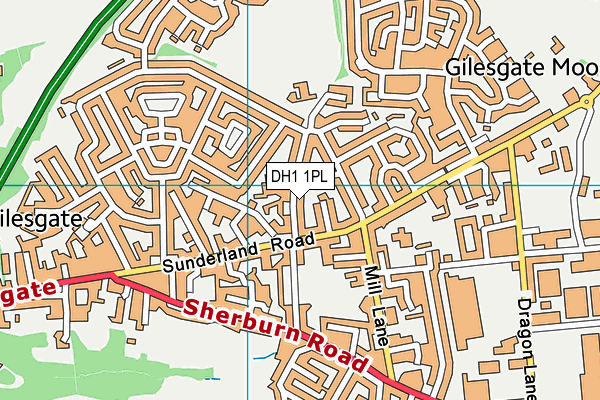 DH1 1PL map - OS VectorMap District (Ordnance Survey)