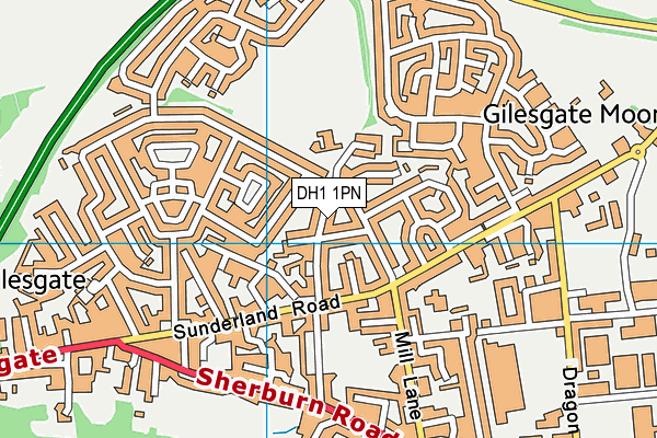 DH1 1PN map - OS VectorMap District (Ordnance Survey)