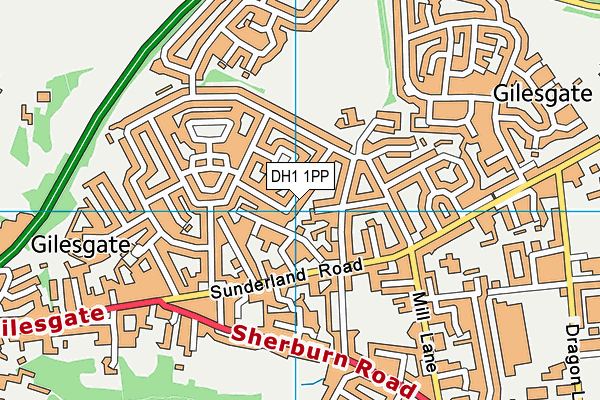 DH1 1PP map - OS VectorMap District (Ordnance Survey)