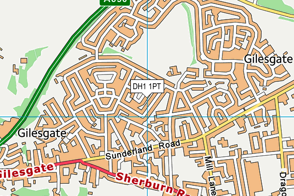 DH1 1PT map - OS VectorMap District (Ordnance Survey)