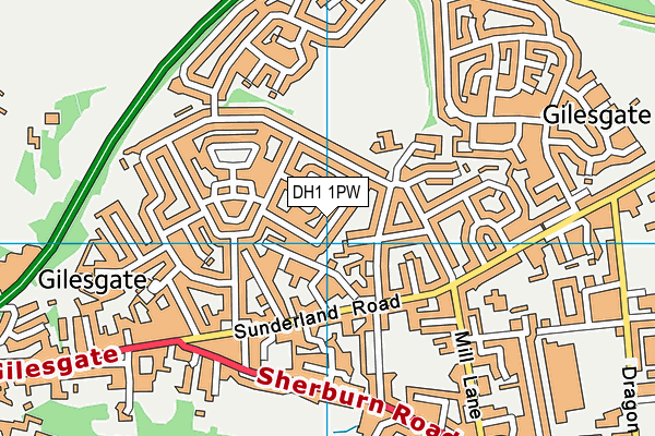 DH1 1PW map - OS VectorMap District (Ordnance Survey)