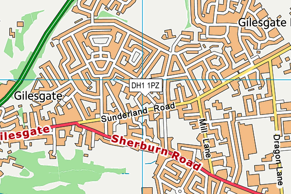 DH1 1PZ map - OS VectorMap District (Ordnance Survey)