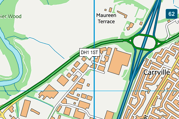 DH1 1ST map - OS VectorMap District (Ordnance Survey)