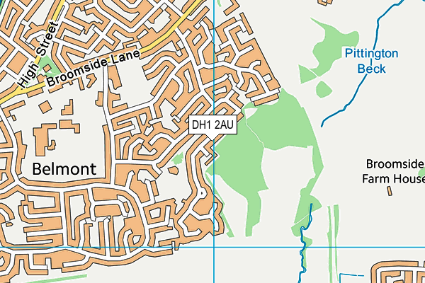 DH1 2AU map - OS VectorMap District (Ordnance Survey)