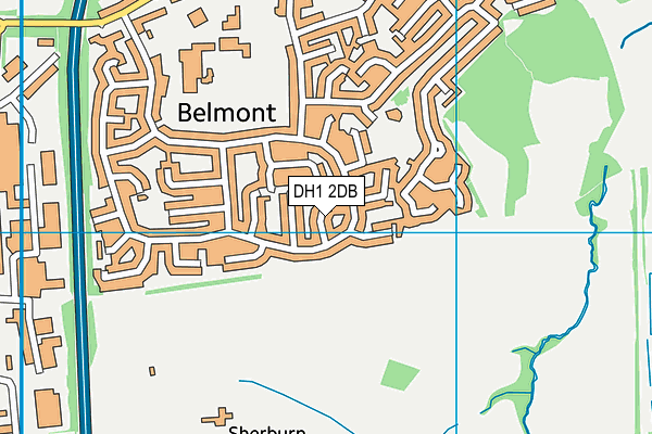 DH1 2DB map - OS VectorMap District (Ordnance Survey)