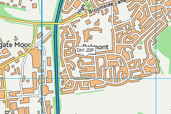 DH1 2DP map - OS VectorMap District (Ordnance Survey)