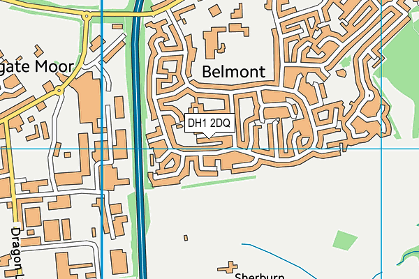 DH1 2DQ map - OS VectorMap District (Ordnance Survey)