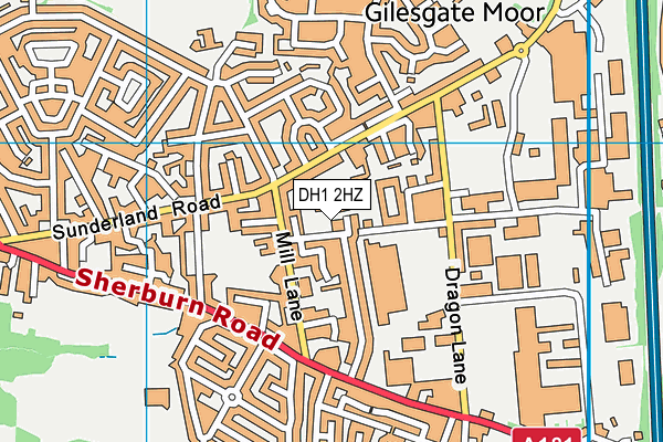 St Hild's College Church of England Aided Primary School, Durham map (DH1 2HZ) - OS VectorMap District (Ordnance Survey)