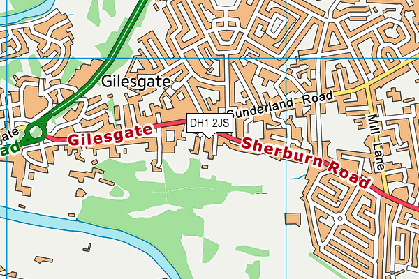 DH1 2JS map - OS VectorMap District (Ordnance Survey)